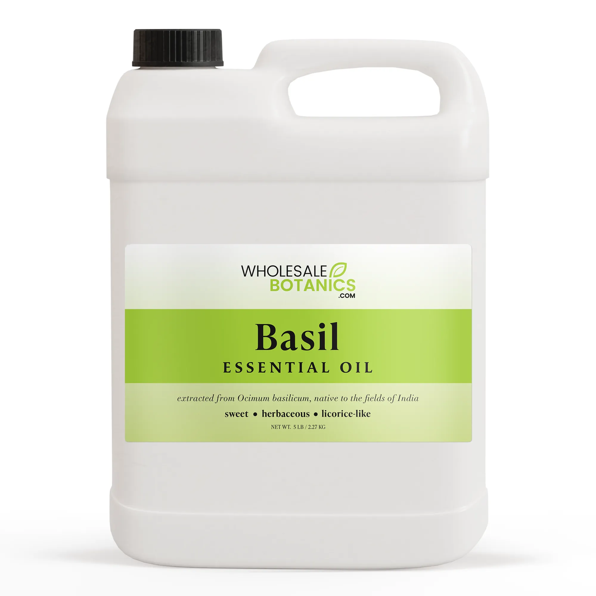 Basil Essential Oil (Sweet)