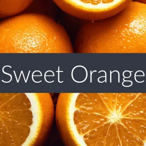 Sweet Orange Essential Oil